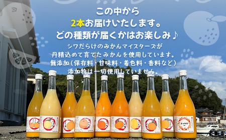 ＜一歩会 ジュエリーボックス ジュース飲み比べセット 720ml×2本入り（果汁100%ストレートジュース）愛媛 みかん＞ ミカン 柑橘 果物 フルーツ 特産品 渡江から一歩を踏み出す会 飲んで応援 