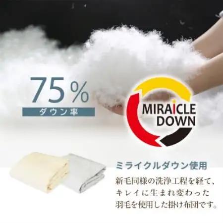 羽毛掛け布団 シングル 150×210cm 0.2kg リサイクル羽毛 75% アイボリー 無地【1739815】