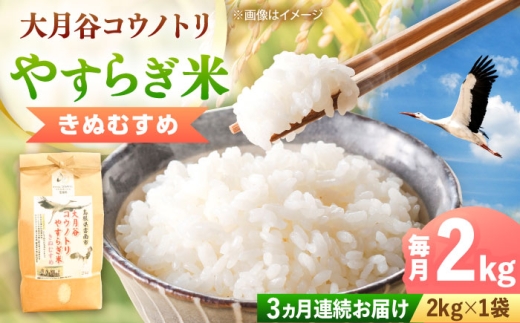 【全3回定期便】 島根県雲南市産きぬむすめ 2kg 米 お米 白米 精米 コメ お米2kg きぬむすめ キヌムスメ ごはん 米2kg 島根米 ブランド米 島根きぬむすめ 米定期便 きぬむすめ米 国産米 おすすめ 人気 お取り寄せ 雲南市きぬむすめ 定期便 大月谷コウノトリやすらぎ米 2026年産 令和8年産 雲南市 / 有限会社藤本米穀店 [AIDB137-r8]