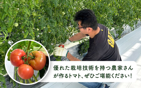 【産地直送！】糸島産 絶品 トマト かれん ( 4kg 28玉 前後 )  糸島市 / シーブ [AHC019] 大玉トマト 野菜