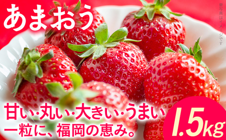 あまおう いちご 大容量 1.5kg 250g×6パック 苺 フルーツ 果物 福岡 九州 グルメ お取り寄せ 3月上旬～4月上旬頃出荷予定