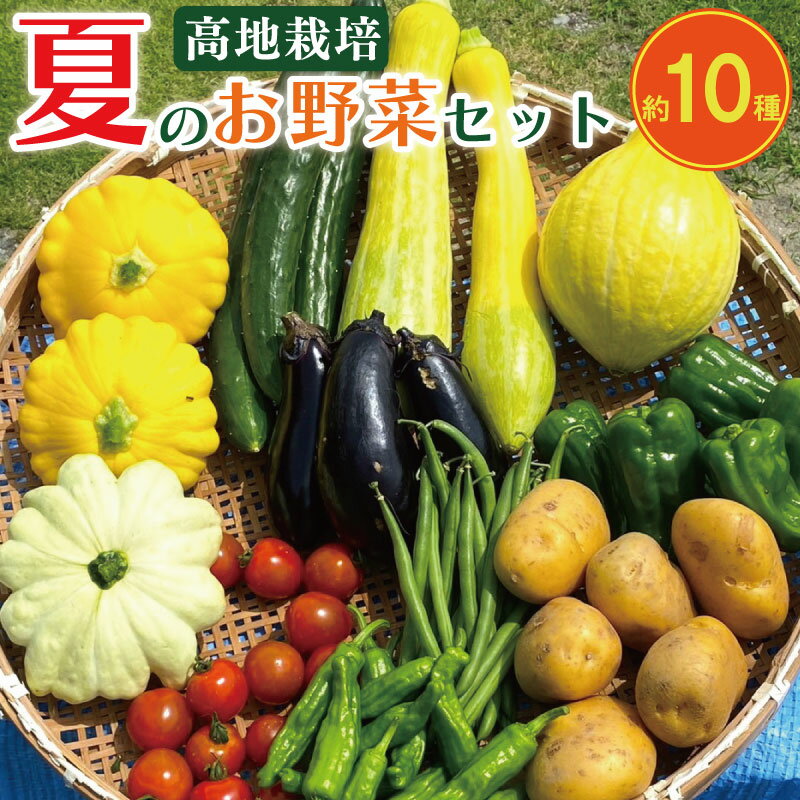 【ふるさと納税】 野菜 夏野菜 セット 10種 程度 詰め合わせ 新鮮 野菜 高地野菜 栽培期間中 農薬 不使用きゅうり ピーマン ししとう オクラ ナス ズッキーニ じゃがいも へちま トマト かぼちゃ 玉ねぎ カレー サラダ くららファーム 徳島県 吉野川市