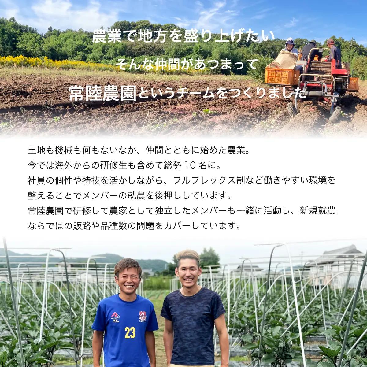 干し芋 平干し 1袋 1㎏ 令和8年産 干し芋 期間限定 大容量パック 常陸太田市 茨城県