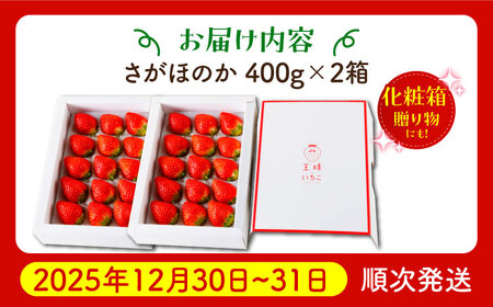【先行予約】【農薬0への挑戦】【年末発送】王様のいちごさがほのか400g×2箱【むらおか農園】HAF029 いちごいちごいちごいちごいちご