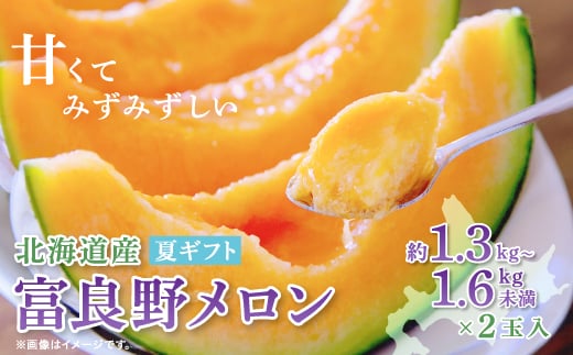 
                  ＜2026年発送＞富良野メロン(赤肉)夏ギフト1.3kg～1.6kg未満2玉入_ メロン めろん 赤肉 果物 くだもの フルーツ ふるーつ 青果 ふらのメロン 富良野 北海道 産地直送 国産 人気 おすすめ 送料無料 お取り寄せ ギフト 贈答 化粧箱 【1405303】
                