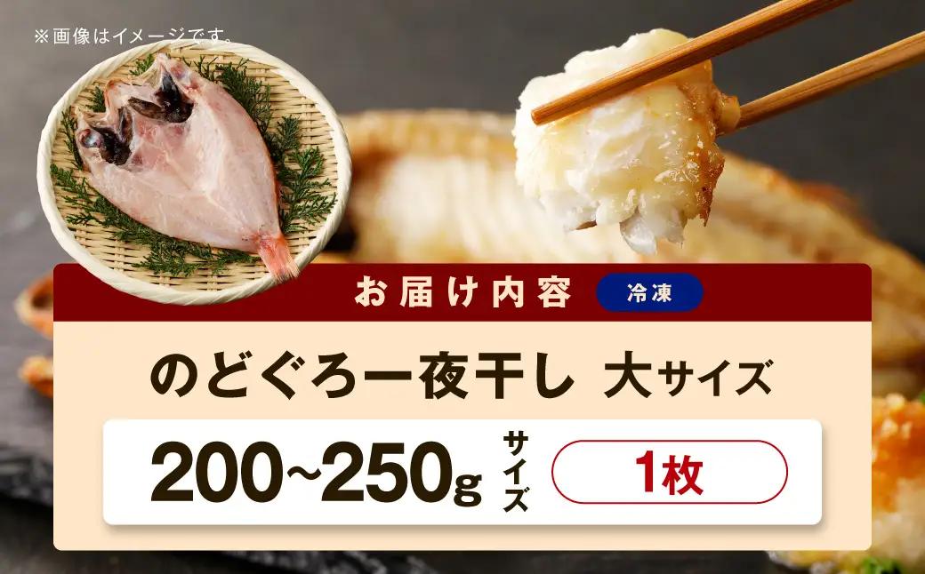 のどぐろ一夜干し個包装1枚「希少サイズ・大型200g超重量」産地直送 干物 魚 一夜干し 人気 大きい 天然 ボリューム ノドグロ 【005_2086】