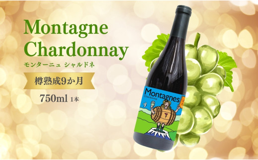 白ワイン<モンターニュ シャルドネ> 750ml × 1本 ｜ ワイン 辛口 国産 千曲市 長野県産 信州