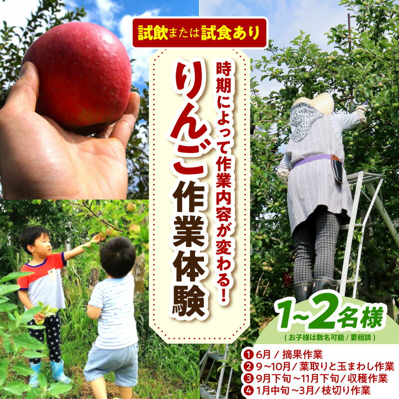 【ふるさと納税】りんご 農業 体験 大人2名まで 子ども も一緒に | トキあっぷる社 青森県 五所川原市 体験型返礼品 収獲体験 収穫 摘果 葉取り 枝切り りんごジュース 1本 または りんご 1個 持ち帰り可能 旅行