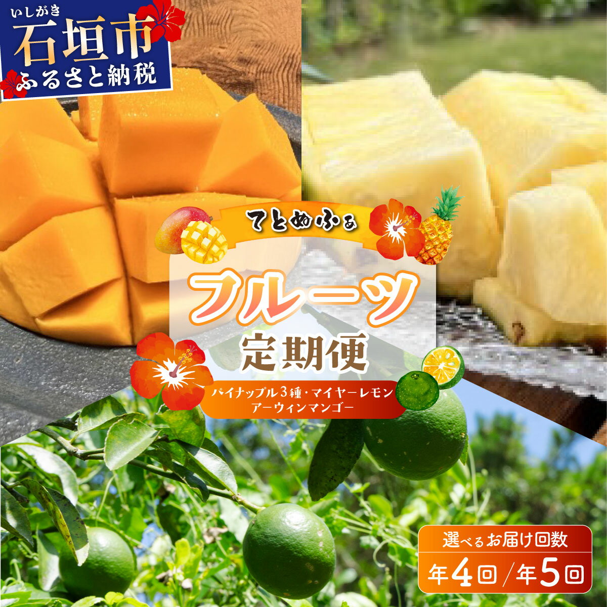 【ふるさと納税】＜選べる内容＞島のおいしいを贅沢に！【定期便】よくばり定期便（パイナップル3種、マンゴー1種、マイヤーレモン） | マンゴー パイン パイナップル レモン フルーツ トロピカル ふるさと納税 ふるさと 沖縄県 沖縄 石垣 石垣島 石垣市 人気