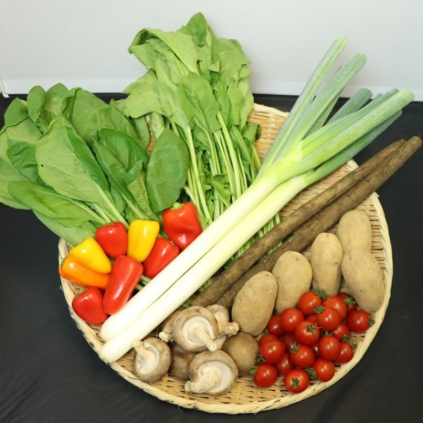 例）秋野菜セット