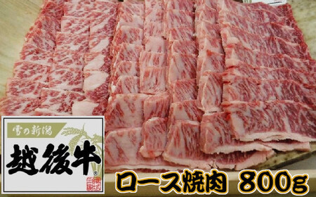 【雪の新潟 越後牛(えちごぎゅう)】ロース焼肉 計800g(200g×4パック) ※冷凍 ブランド牛 焼肉 三国 | 越後牛 小千谷産 国産牛 新潟県産 ロース 高級和牛 霜降り牛肉 ギフト 贈答 お
