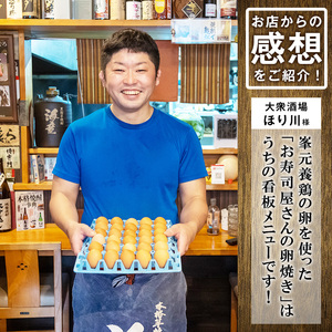 健康電子たまご（鶏卵）12パック 120個入り(内10個 宅配破損時 保証卵付) 【00-095-04】