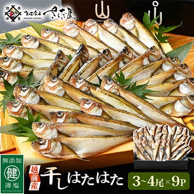 越前産　干しはたはた(3～4 尾×9 パック)【配送不可地域：離島】【1170338】