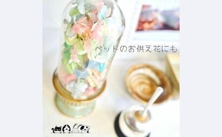 パステル紫陽花のお供え花　優しい色のあじさい プリザーブドフラワー 仏花 ガラスドーム パステルカラー 紫陽花 プリザーブド 仏壇 フューネラル ギフト 家族 ペット パール ピンク お供え ご供花 