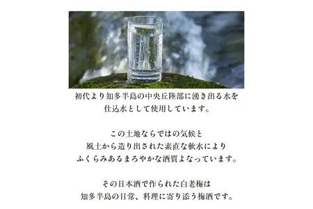 知多の梅酒「白老梅」純米大吟醸　2本セット お酒 リキュール 佐布里梅 梅酒 澤田酒造 特産品 贈り物 ギフト 晩酌 宅飲み 家飲み 純米大吟醸 白老梅 日本酒 高級 愛知県 知多市