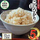 【ふるさと納税】 米 こしひかり ( 玄米 ) 5kg × 12回 【 12か月 定期便 】( 令和5年産 ) 沖縄県への配送不可 米澤商店 長野県 飯綱町 【 コシヒカリ 玄米 お米 信州 】発送時期：2023年11月上旬～ [お届け12回 (**)]