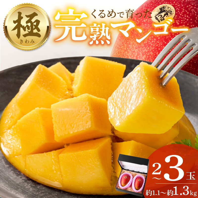 【ふるさと納税】【2026年6月以降お届け】 完熟マンゴー 2 ～ 3玉 約1.1kg ～ 1.3kg 平均糖度 17度～18度 完熟 マンゴー 倉重農園 フルーツ トロピカルフルーツ 果物 デザート 冷蔵 クール便 お取り寄せ お取り寄せフルーツ 福岡県 久留米市 送料無料