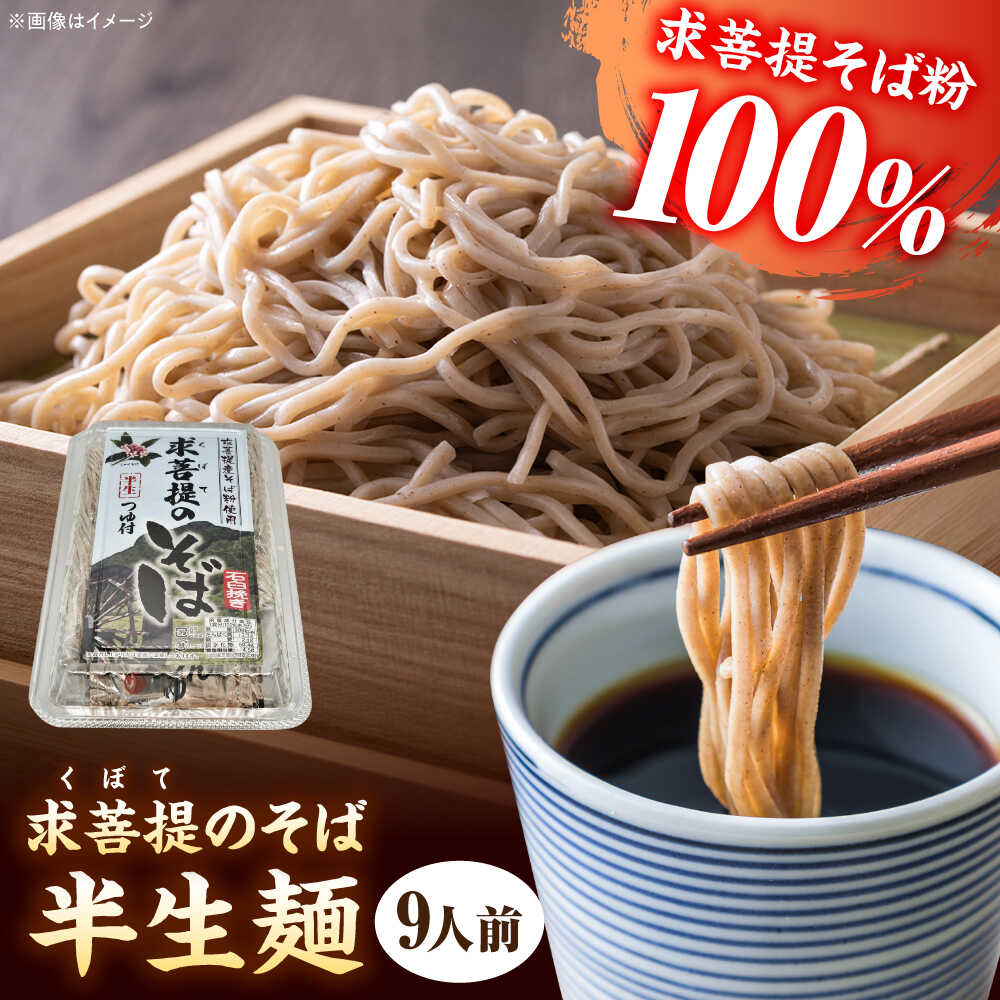 【ふるさと納税】豊前 求菩提そば 石臼挽き 半生麺 9人前 《豊前市》【有限会社豊前民芸】[VEQ006] そば 蕎麦 求菩提そば 国産 年越しそば