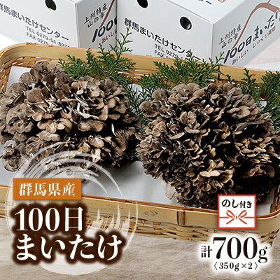 【ふるさと納税】【のし付き】100日まいたけ 350g×2箱【配送不可地域：離島・沖縄県】【1429419】