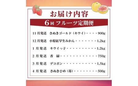 旬のフルーツ定期便 6回 フルーツ 定期便