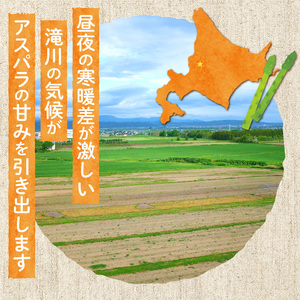 【農協直送】北海道産グリーンアスパラ　2Lサイズ　1kg(500gx2袋)