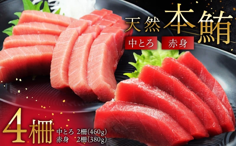 
            天然本鮪中とろ2柵・赤身2柵　M007-008-01
          