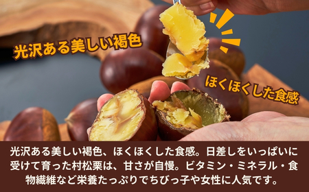 栗 先行予約 越後村松の栗（2Lサイズ 2kg）新潟県 五泉市 村松特産振興協議会栗部会（2025年10月下旬発送予定）栗 栗 栗 栗