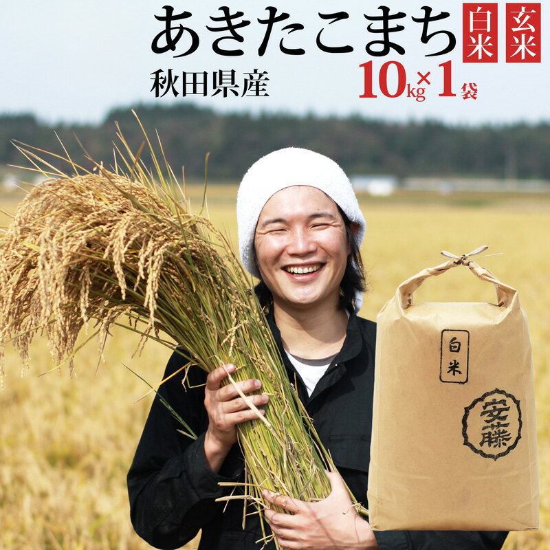 【ふるさと納税】《令和7年産》秋田県産 あきたこまち 10kg(10kg×1袋) 【白米／玄米 選べる】令和7年産