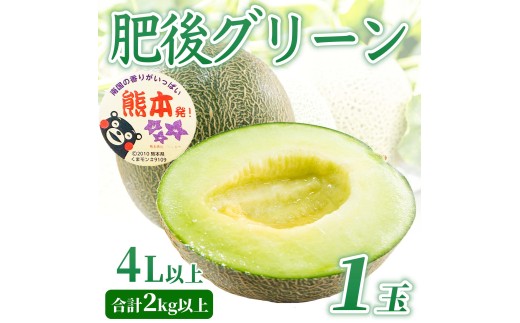 肥後グリーンメロン 約2kg 【2026年5月上旬～2026年7月下旬配送予定】 果物 フルーツ くだもの メロン めろん 青肉メロン 国産 熊本 熊本県 九州 産地直送 極上 美しい 網目模様 爽やか 香り 宝石 艶やか 日本フルーツ