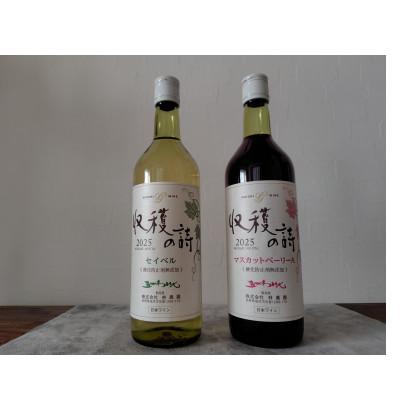 ふるさと納税 塩尻市 五一ワイン ヌーボー マスカットベリーA&セイベル 2本セット 720ml×各1本 |  | 01