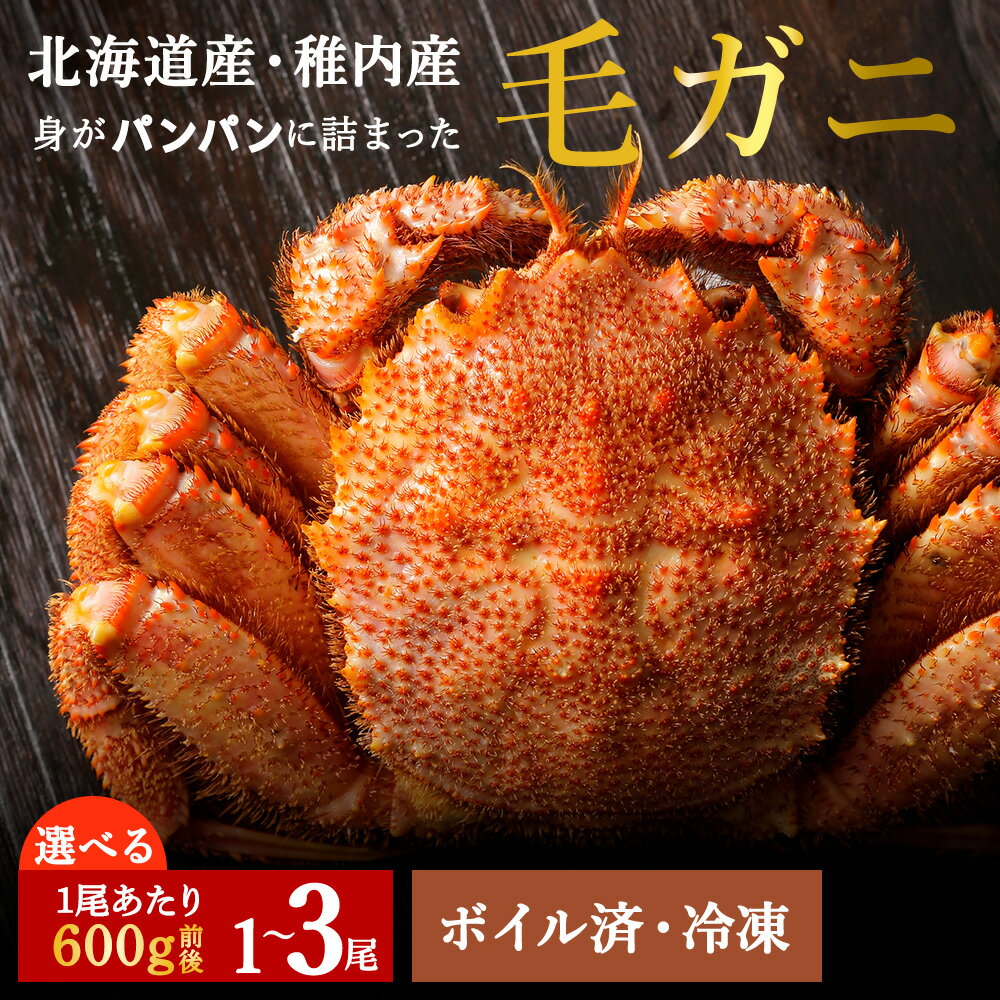 【ふるさと納税】【お中元ギフト】2026年新物 【熨斗】【ボイル済み急速冷凍】身がパンパンに詰まった稚内産毛ガニ 選べる1尾〜3尾 1尾600g前後毛がに 毛ガニ 毛蟹 ボイル カニ 北海道ふるさと納税 稚内 ふるさと納税 北海道 【配送不可地域：離島・沖縄県】