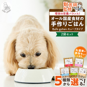 ペットフード 無添加ドッグフード・ブルズごはんCUBEタイプ 300g×2袋(馬・豚・鹿・鶏・魚の中から2つ)_CUBE型 20個入×2袋 無添加ドッグフード 1袋300g(馬肉・豚肉・鹿肉・鶏肉・魚の中から2つ) 国産 手作り アレルギー ウェット 子犬 シニア犬 冷凍 ヒューマングレード 老犬 小型犬 お試し 選べる ペットフード ブルズごはん 〔Pf002〕
