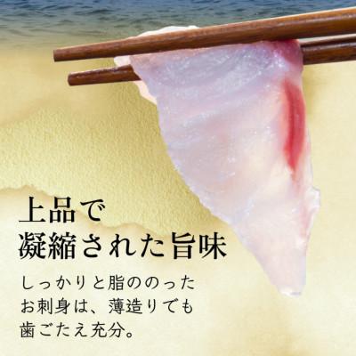 ふるさと納税 小浜市 若狭マハタ刺身4人前 |  | 02