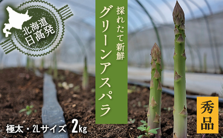 アスパラガス 秀品 アスパラ グリーンアスパラ 2L サイズ 2kg (500g×4) 門別町農業協同組合(生活資材課)《4月上旬-5月末頃出荷》北海道 日高町 送料無料 春野菜 春 朝採り 朝採れ お取り寄せ