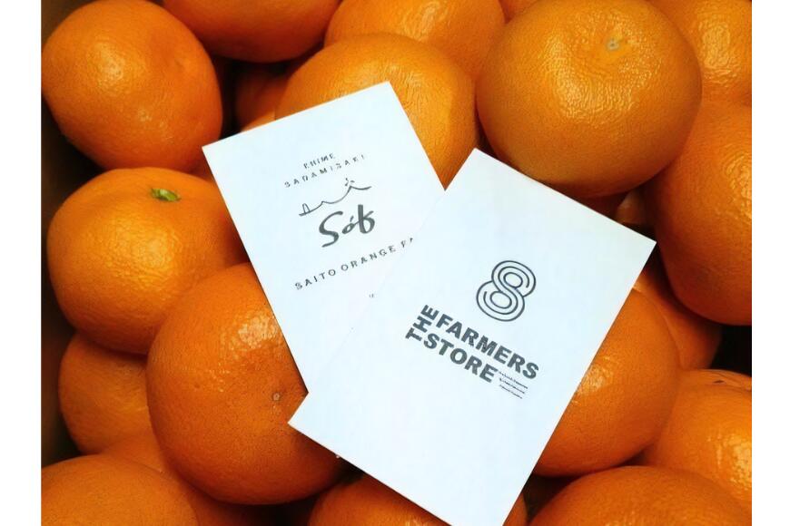 【ふるさと納税】【先行予約】【数量限定】Saito Orange Farmの愛果28号（まどんな）3kg （2026年1月下旬頃より順次発送） 【 ふるさと納税 人気 おすすめ みかん 蜜柑 柑橘 愛果28号 フルーツ 果物 西宇和 Saito Orange Farm 愛媛県 伊方町 送料無料 】 IKTAQ017