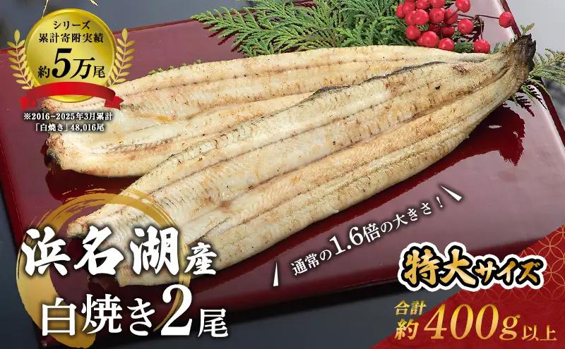 うなぎ 国産 白焼き 2尾 400g 浜名湖産 うなぎ
