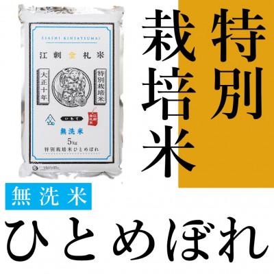 ふるさと納税 奥州市 【無洗米】江刺金札米ひとめぼれ 無洗パック米 5kg　令和7年産  特別栽培米 [A0035] |  | 01
