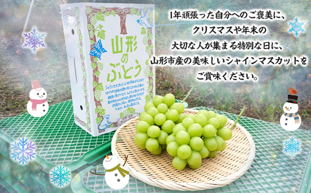 【期間限定】山形市産 冬出し シャインマスカット[12月発送] FY24-308