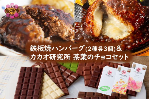 鉄板焼ハンバーグ(2種各3個)＆カカオ研究所 茶葉のチョコセット【B-205】