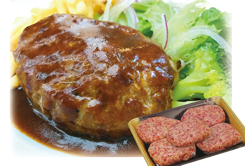 【020-06044】土佐あかうし　ハンバーグ5個セット