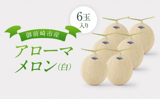 
御前崎市産アローマメロン(白）6玉入り
