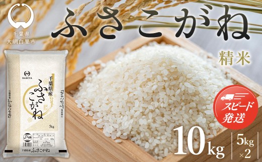 【最短2～7営業日出荷】【令和7年産】千葉県産　ふさこがね10kg (精米5kg×2袋) ふるさと納税 人気 おすすめ ランキング 米 精米 白米 ふさこがね 千葉県 大網白里市 送料無料 E028