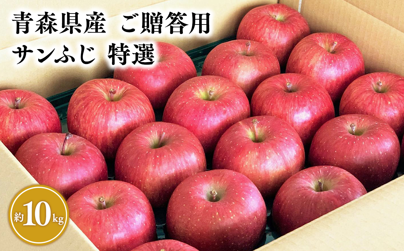 3月発送 【特選】サンふじ10㎏【りんご・青森・平川・特選・宮川商店・11月・12月・1月・2月・3月・4月】