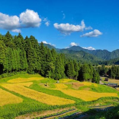 ふるさと納税 三条市 [数量限定] 棚田米 米ぬか栽培コシヒカリ5kg 新潟県 三条市 【014S086】 |  | 01