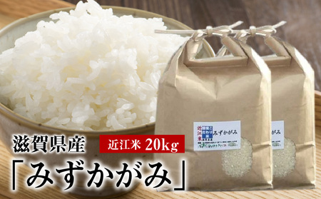 令和６年産　近江米「みずかがみ」 20kg　まろやかな甘み みずかがみ まろやかな甘み みずかがみ みずかがみ みずかがみ