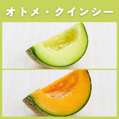 茨城県産オトメ・クインシーメロンセット優品または秀品3L以上2玉入【2026年4月下旬以降順次発送】【配送不可地域：離島・北海道・沖縄・中国・四国・九州】【1686249】