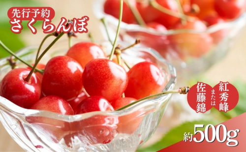 2026年産先行予約 さくらんぼ 約500g　オンライン決済限定 果物 フルーツ デザート チェリー 佐藤錦 紅秀峰