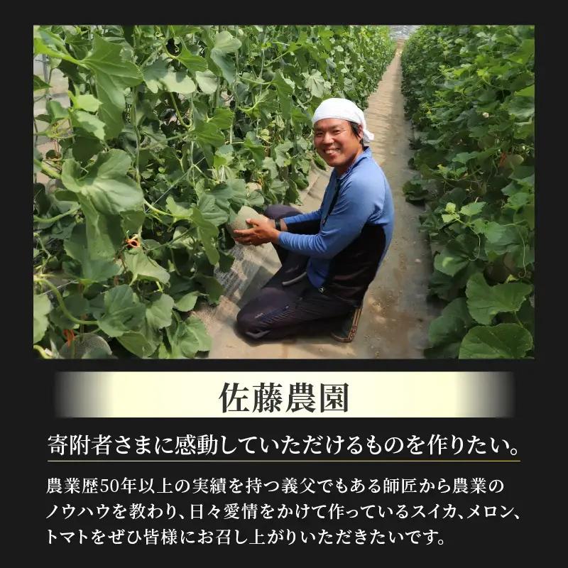 【先行予約】【秀品】佐藤農園の小玉スイカとレノンメロンのセット 計2玉 / 農家直送 有機肥料 低農薬 すいか フルーツ 果物 くだもの 野菜 赤い食べ物 甘い 贈答 旬 夏 ※2027年6月中旬～7