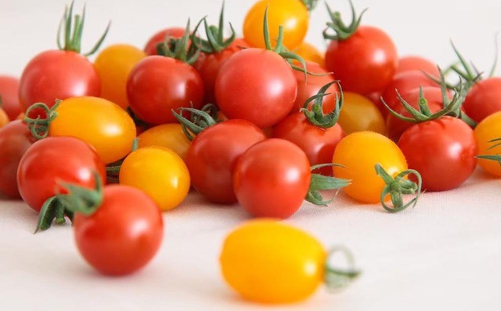 トマトが苦手な子でも食べれちゃう！高糖度 完熟フルーツトマトとミニトマトの食べくらべセット　1.2kg こだわりの減農薬  糖度8～13度 リピーター多数 大容量 コスパ 新鮮  人にも地球にも優しいトマト 222232_BR003