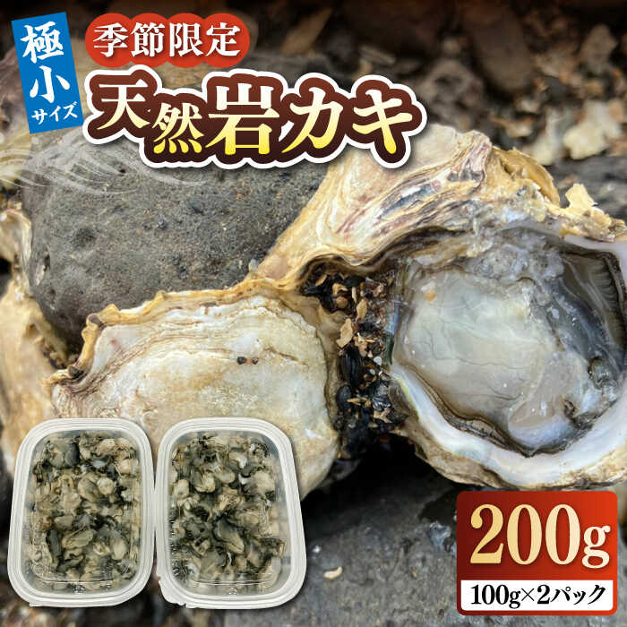【ふるさと納税】【先行予約】【季節限定】 天然 岩カキ 100g×2パック（生食用）【2026年11月以降順次発送】《壱岐市》【鈴の海庭】 牡蠣 カキ 岩牡蠣 貝 魚貝 海産物 おつまみ カキフライ 鍋 カキ鍋 牡蠣鍋 カキ飯 [JFV002] 冷蔵配送